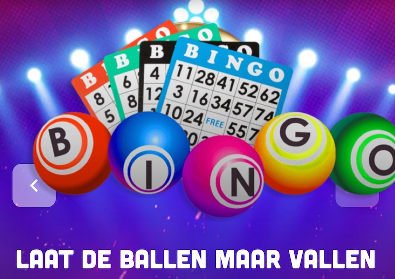 live-bingo-nederlandse-aanbieders